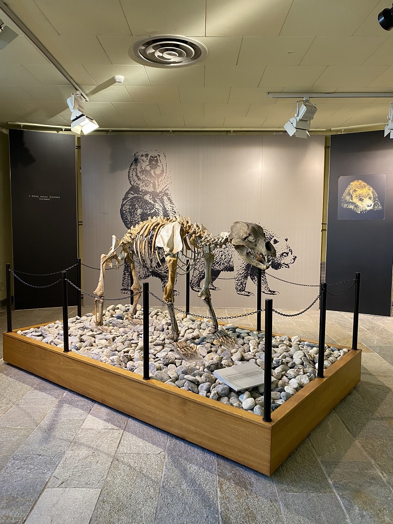 Museo di Archeologia e Paleontologia Carlo Conti di Borgosesia