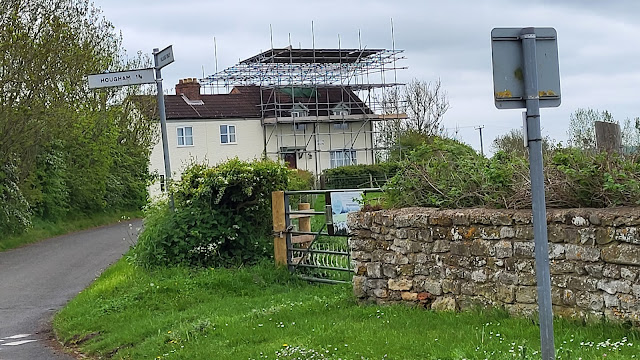 scaffold
