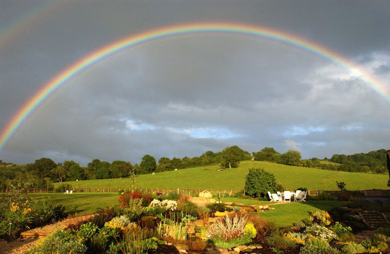 desktop wallpaper rainbow. WALLPAPER