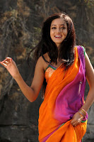 shanvi spicy galley in saree actress pics