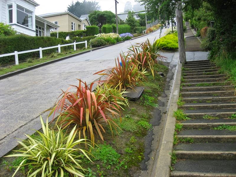 The world's steepest urban street, Baldwin Street, in Dunedin, New Zealand. Its slope reaches 35 percent or 19°, Which means that the distance 2.86 meters road rises by one meter. Baldwin Street is located in the North East Valley. 