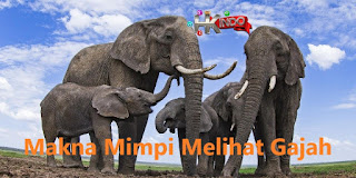 Tafsir Mimpi Melihat Gajah