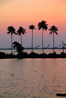 Kerala (Best Honeymoon Destinations In India) 5