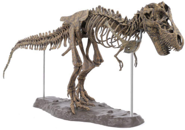 بمبلغ فلكي.. بيع هيكل عظمي للديناصور “المرعب”