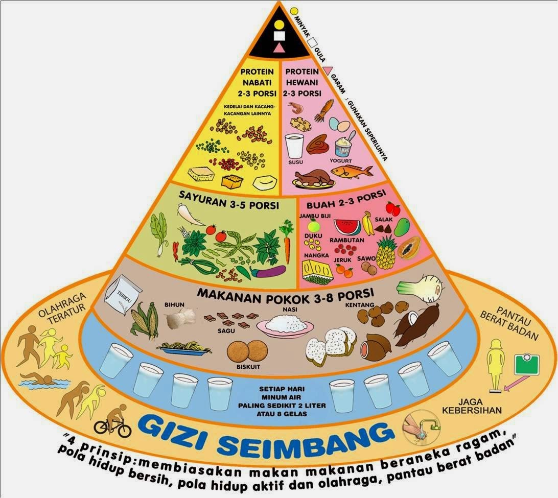 GAMBAR PIRAMIDA MAKANAN DAN 4 SEHAT 5 SEMPURNA  freewaremini