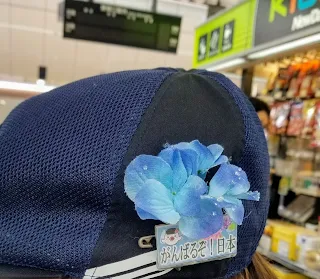 新幹線の掃除スタッフの帽子に付けたアジサイの花