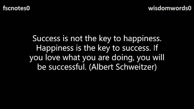 Success is not the key to happiness. Happiness is the key to success. If you love what you are doing, you will be successful. (Albert Schweitzer)