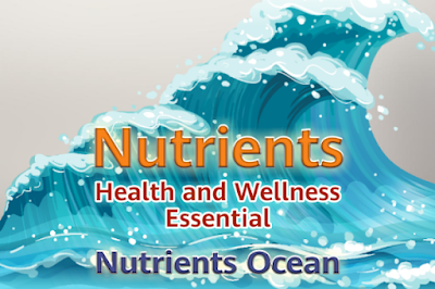Nutrients Ocean