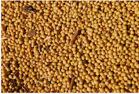 soybeans