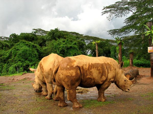 foto indah indonesia versi national geographic