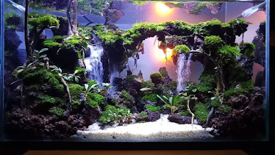 Aquascape 2 Air Terjun