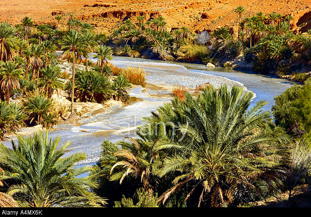 Morocco camel trekking tour