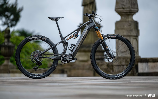 Cannondale Moterra SL1 Raw