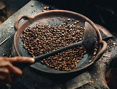 How to Roast and Brew Luwak Coffee or Kopi Luwak