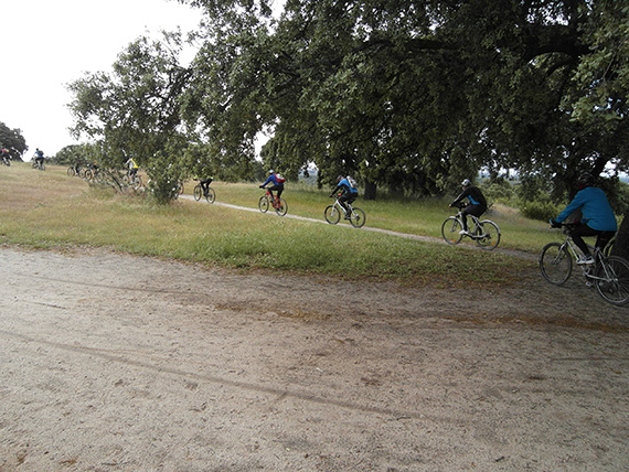 Unas fotos de nuestra ruta por el Pardo - Mayo 2013