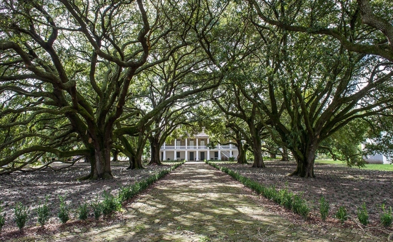 Whitney Plantation Museum