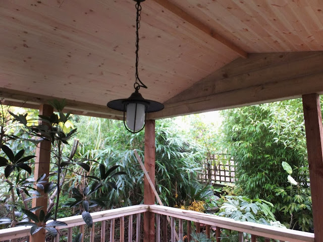 Pendant light in the new Jungle Hut