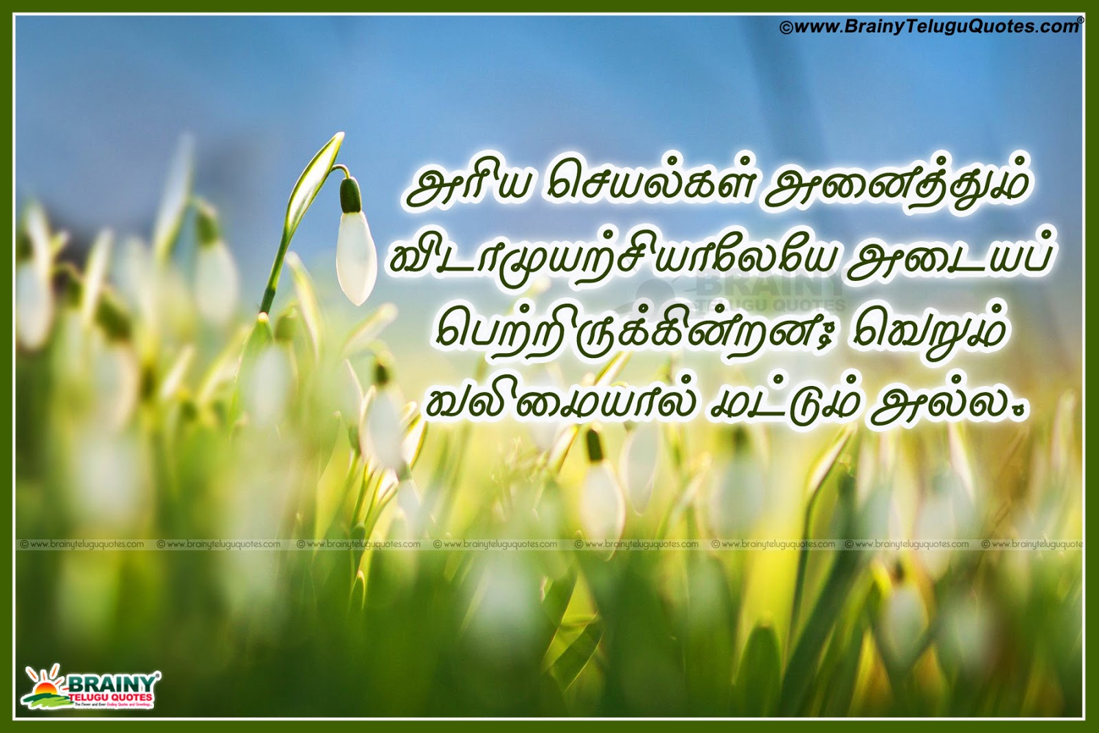 Tamil Life Motivational Thoughts Images Happiness Quotes
