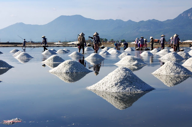 The salt fields near Van Phong Bay, Khanh Hoa province 10