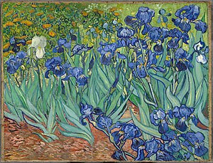 Vincent Van Gogh  (1889)