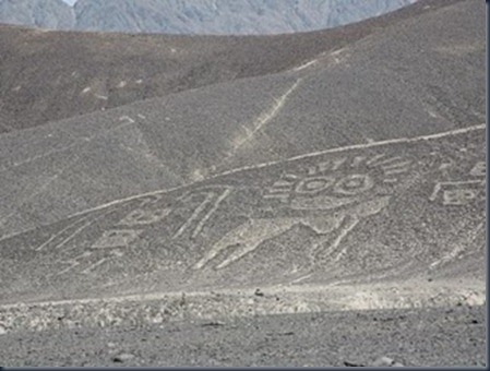 nazca3