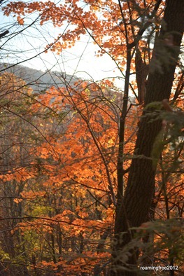 fall colors_2