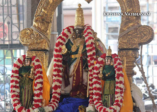 Sri Parthasarathy Perumal, Dhavana Utsavam, Thirumanjanam, Purappadu,  Triplicane,  Purappadu, Thiruvallikeni, Utsavam, 