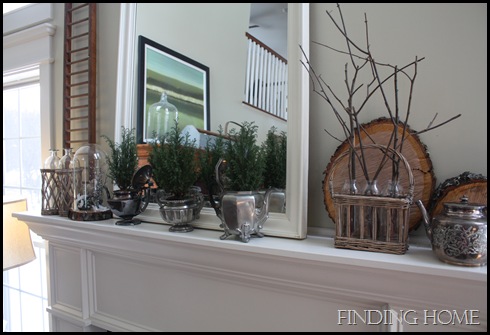 Winter Family Room 096