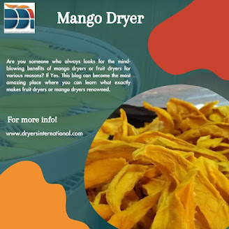 Mango Dryer