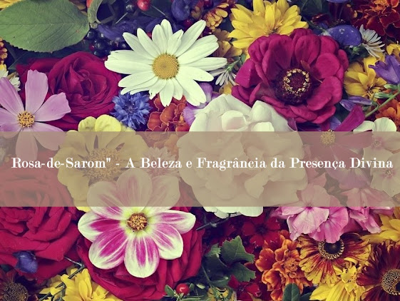 Rosa-de-Sarom" - A-Beleza-e-Fragrância-da-Presença-Divina
