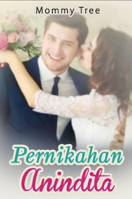Novel Pernikahan Anindita Karya Mommy Tree Full Episode