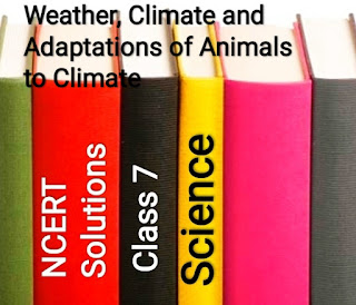 NCERT Solutions for Class 7 Science Chapter 7 Weather, Climate and Adaptations of Animals to Climate