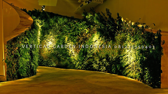 VERTICAL GARDEN INDONESIA SPESIALIS JASA PEMBUATAN VERTICAL GARDEN DI PEKALONGAN JAWA TENGAH DAN DI SELURUH WILAYAH JAWA TENGAH DENGAN TENAGA YANG PROFESIONAL DAN DAPAT DI PERCAYA YANG SELALU MENGUTAMAKAN SEBUAH MUTU DAN KUALITAS PEMASANGAN VERTICAL GARDEN/TAMAN DINDING, JASA TUKANG TAMAN VERTICAL PEKALONGAN JAWA TENGAH, JASA VERTICAL GARDEN PEKALONGAN JAWA TENGAH