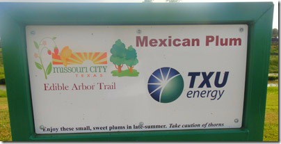 5-example-of-sign