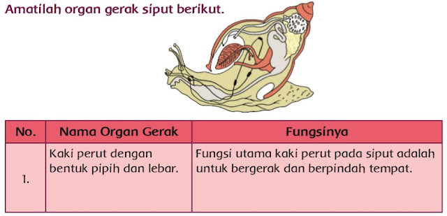 Lengkap Kunci Jawaban Kelas 5 Tema 1 Subtema 1 