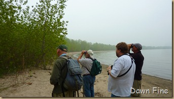 Sheldons Marsh Old Womans Creek_019