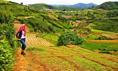 Ooty Summer Holidays