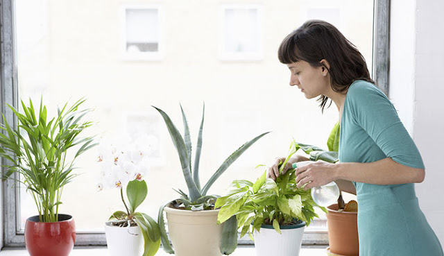 Indoor Kitchen Herb Garden Ideas