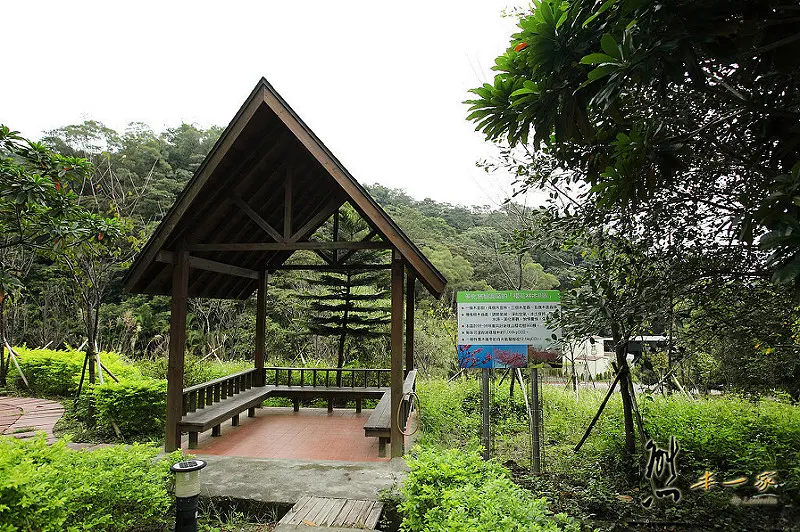 三峽私房景點櫻花林 樹木銀行｜三峽碳中和樂園