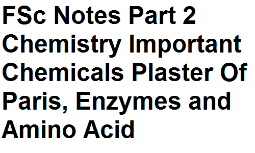 FSc Notes Part 2 Chemistry Important Chemicals Plaster Of Paris, Enzymes and Amino Acid