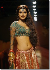 hot and sexy indain sari