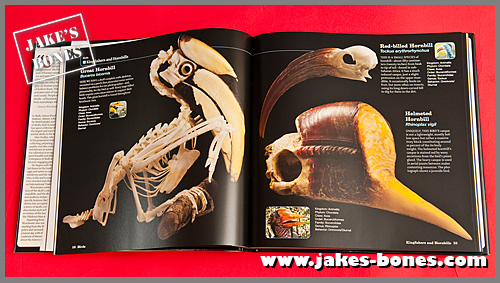 Some Great Books On Bone Collecting Jake S Bones