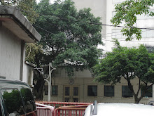 US consulate.