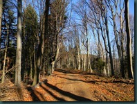 DSCN0461