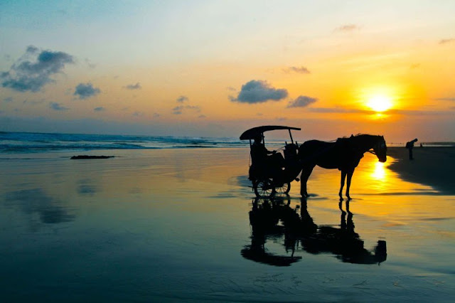 Hasil gambar untuk pantai parangtritis