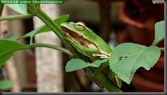 20150621_085543_158_ErPaZi
