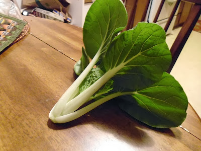 Bok Choy Chinese Mustard