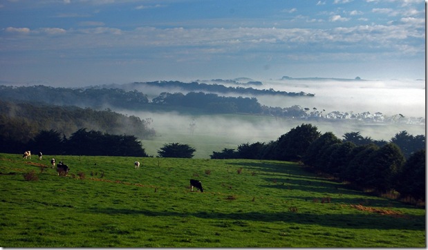 Looking over Po's dairy 1