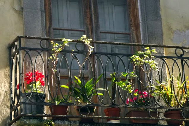 varanda com vasos de plantas e flores