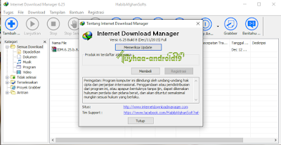 Internet Download Manager